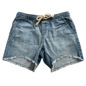 Aerie Blue Jean Denim Shorts